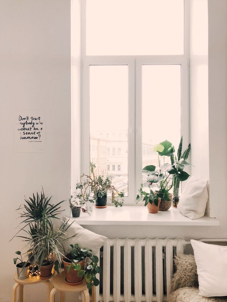 Vue d'une fenêtre avec plusieurs plantes devant